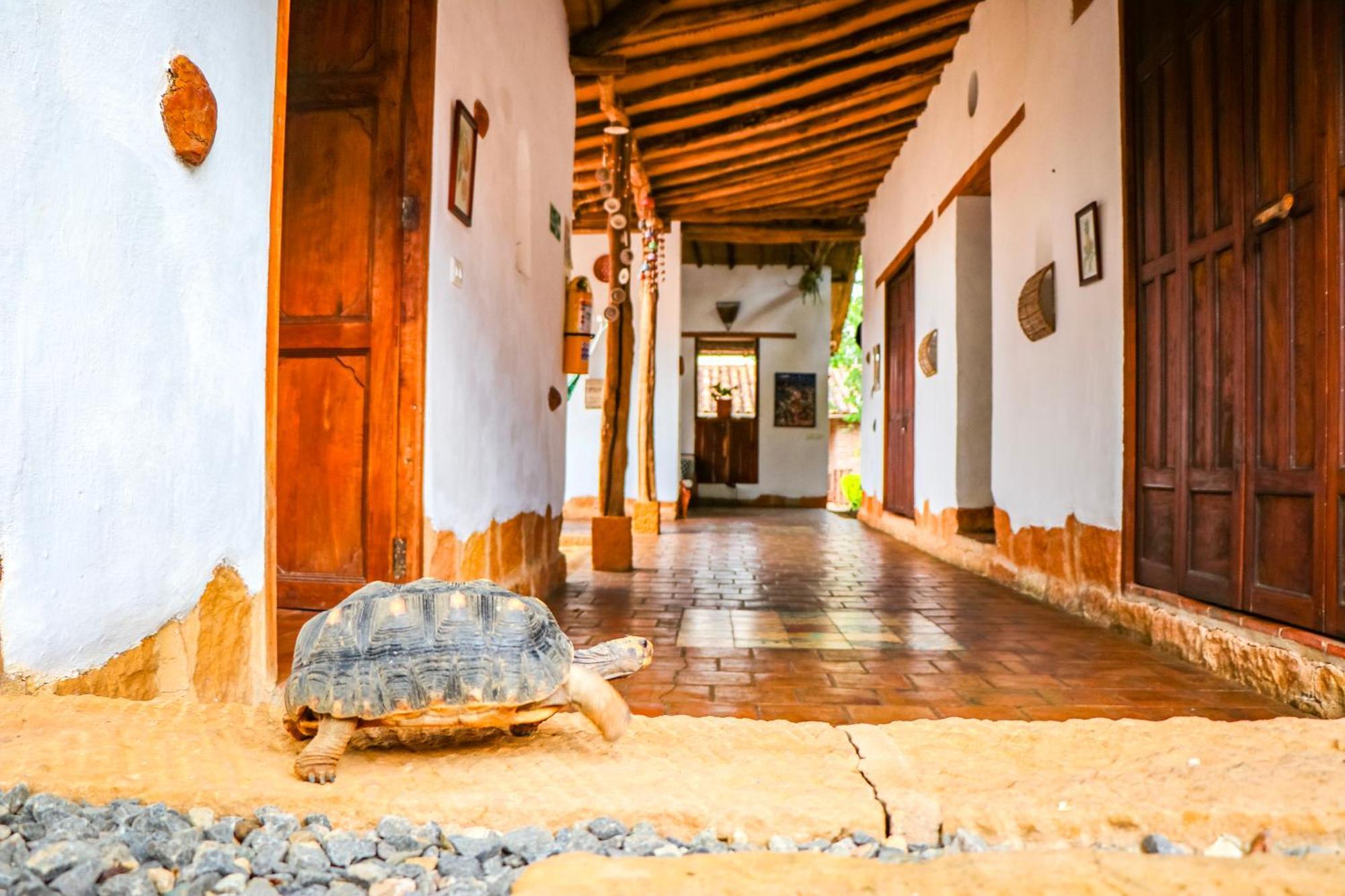 Hotel Casa Canela บาริชารา ภายนอก รูปภาพ