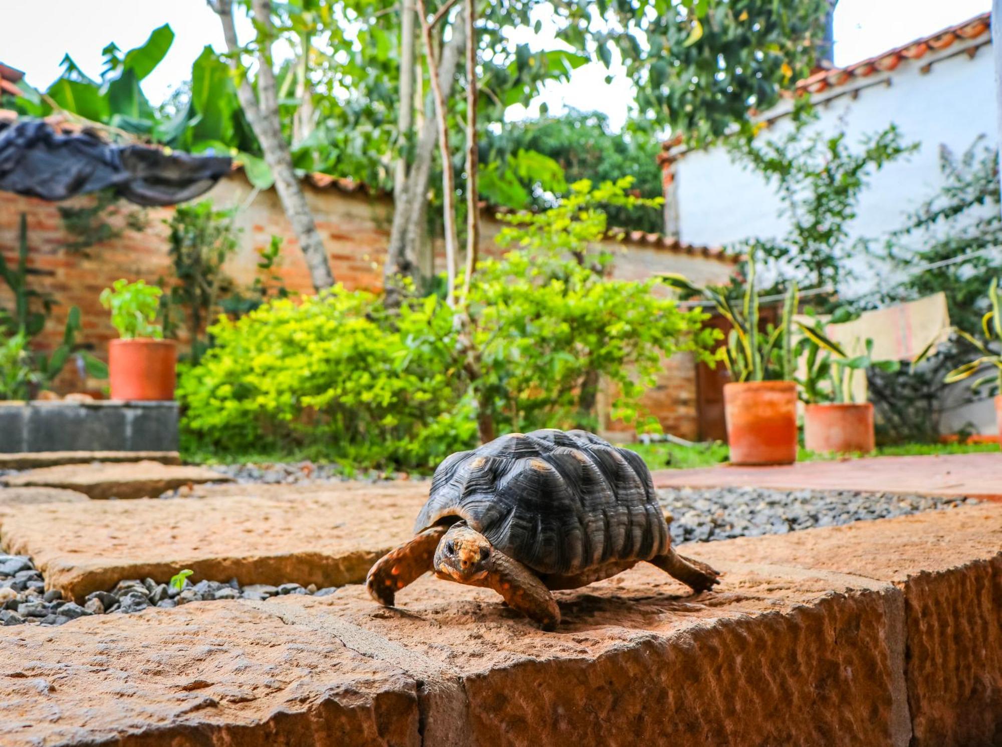 Hotel Casa Canela บาริชารา ภายนอก รูปภาพ