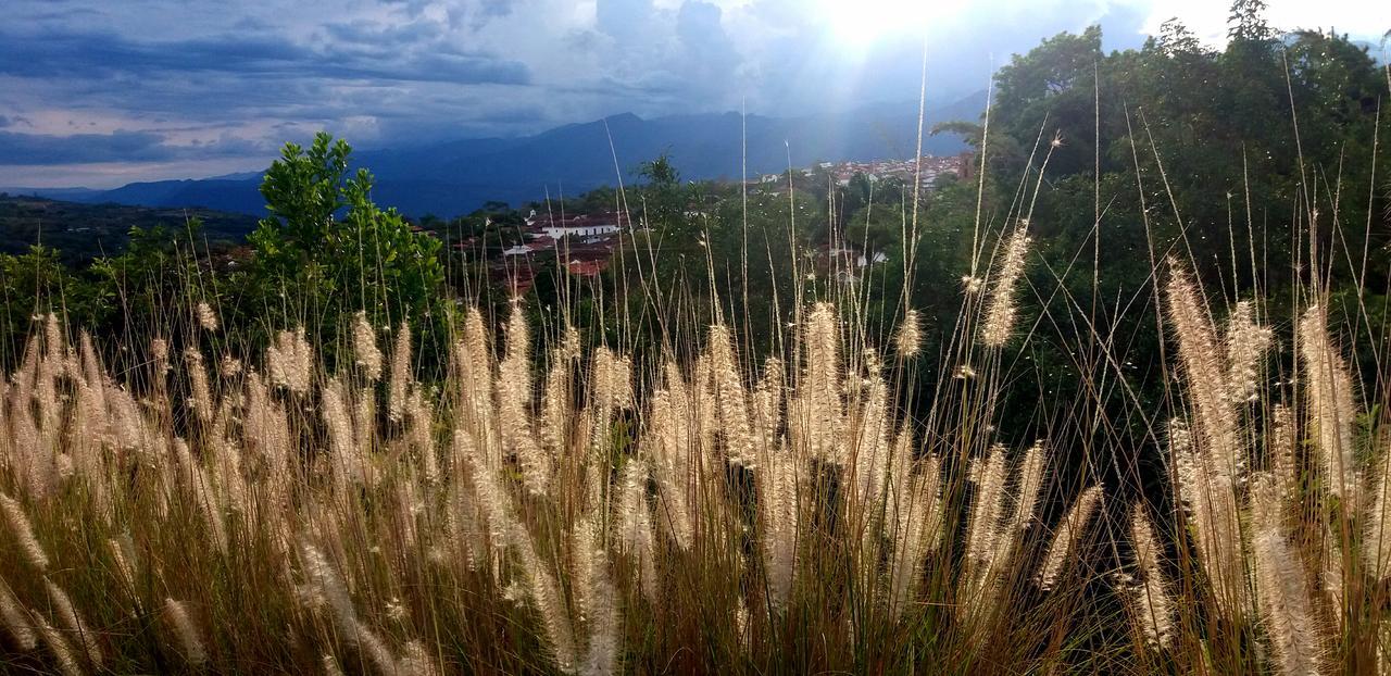 Hotel Casa Canela บาริชารา ภายนอก รูปภาพ